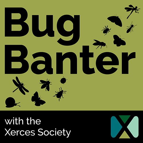 Bug Banter podcast cover art featuring insect silhouettes and the Xerces Society logo