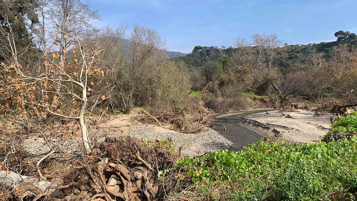downed trees and erosion at the Lower Topanga Canyon overwintering site