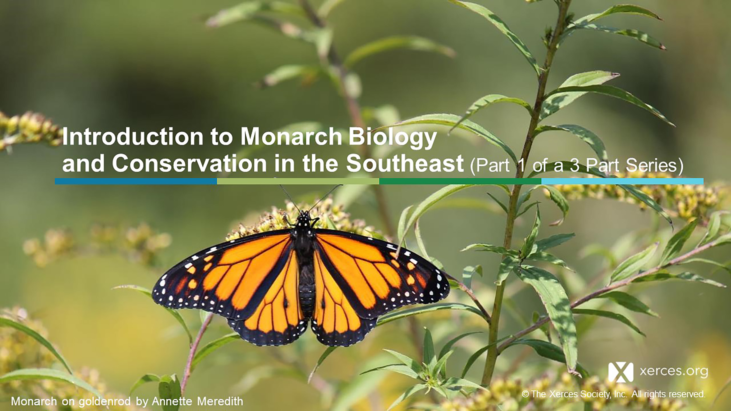 This image shows the first slide from a presentation. The slide has text and a photo of a black-and-orange monarch butterfly