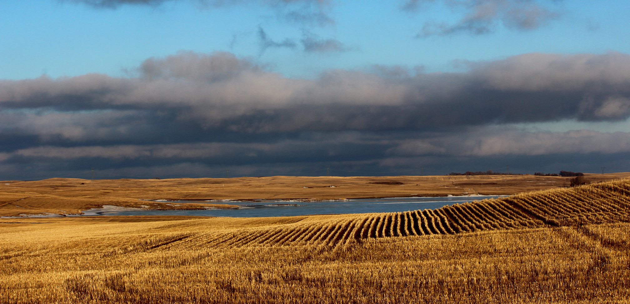 "A farm landscape showing brown stubble of corn in fields surrounding a wetland pond. The water appears dark blue, reflecting the gray clouds in the blue sky."