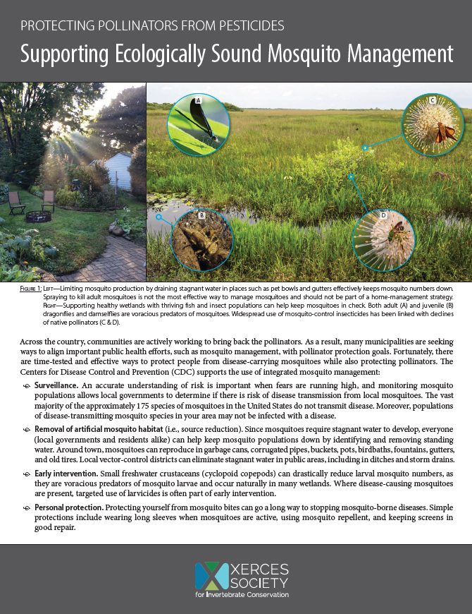 The front page of the guide Supporting Ecologically Sound Mosquito Management: Protecting Pollinators from Pesticides is shown, with some large text blocks and an image of a field in which different insects, including butterflies and bees, are shown in a landscape.
