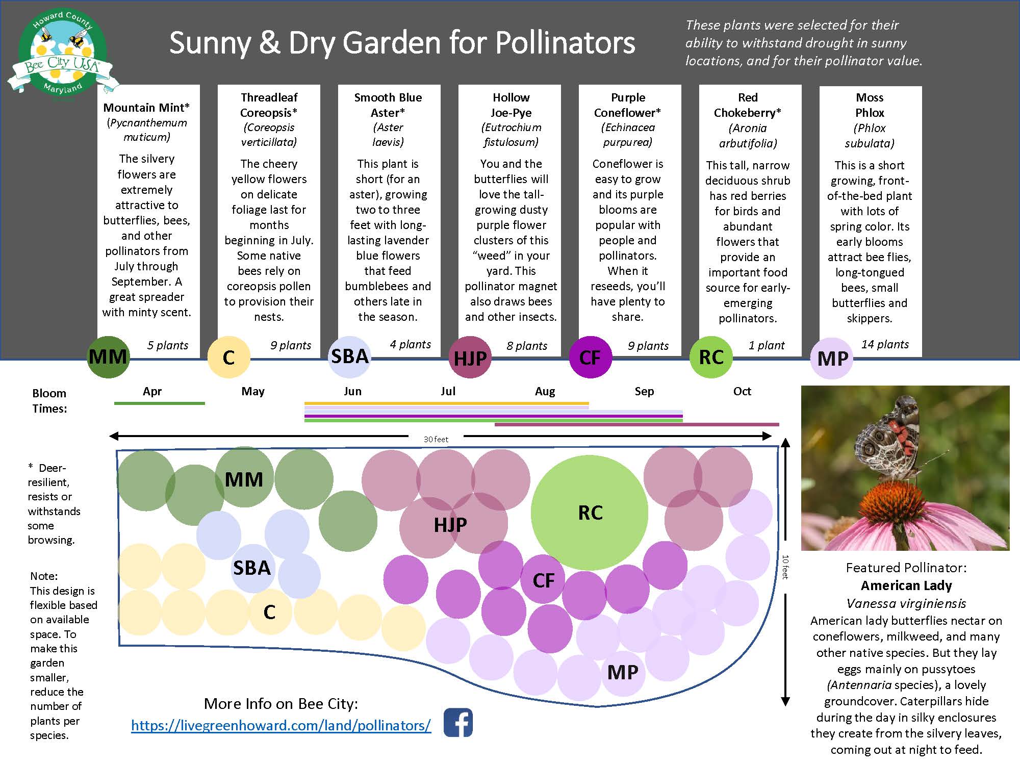 A planting plan for a pollinator garden showing the position and color of expected flowers.