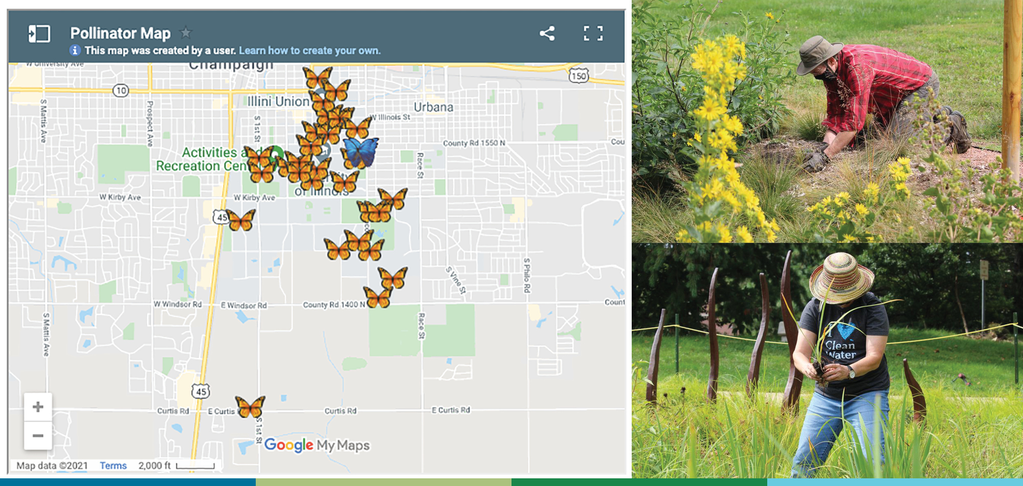 A composite image: On the left is a map showing locations of pollinator gardens on a college campus. On the right are two photos showing a man and a woman working to plant pollinator flowers