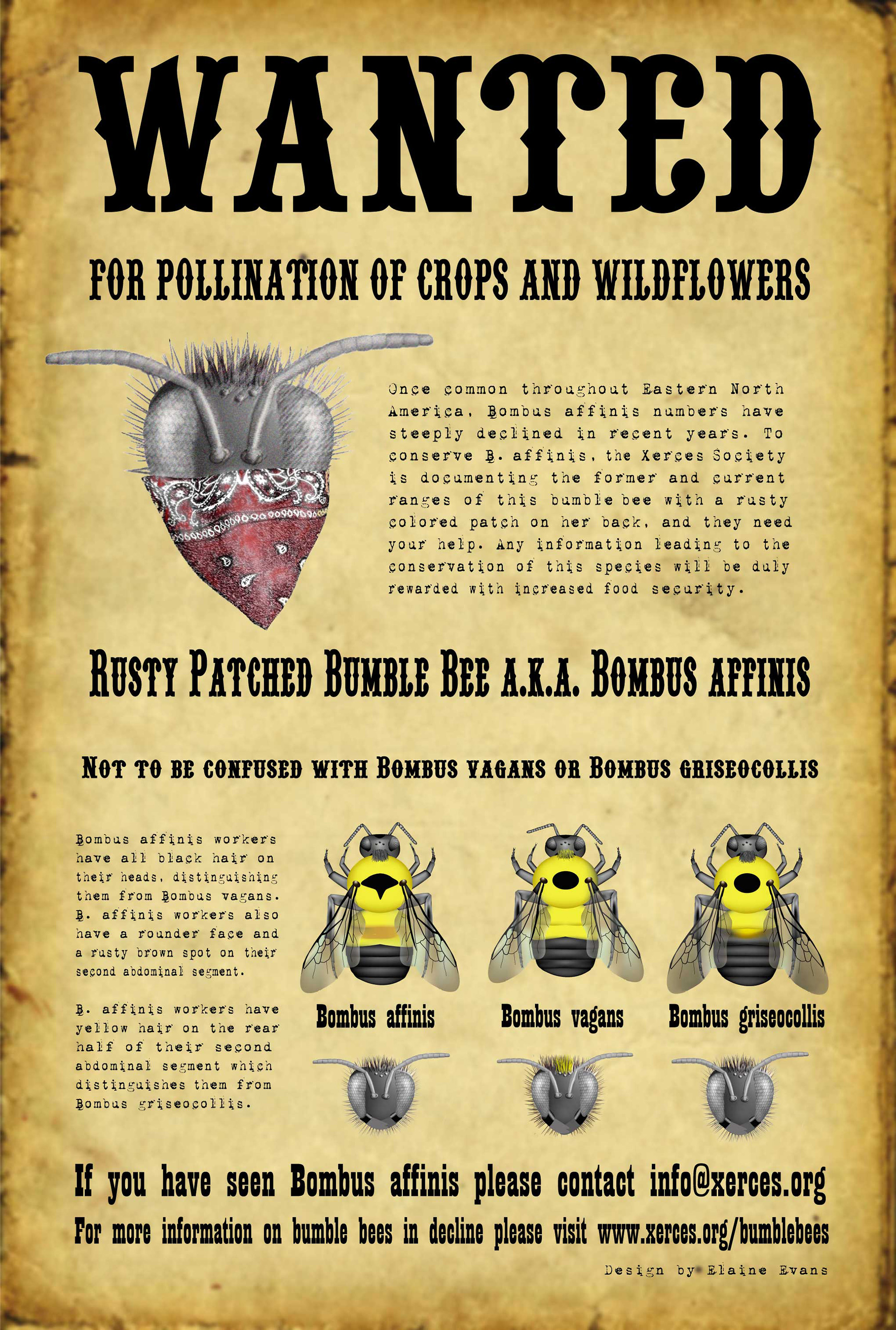 The poster has bold black text on a pale brown, textured background and drawings of bumble bees.