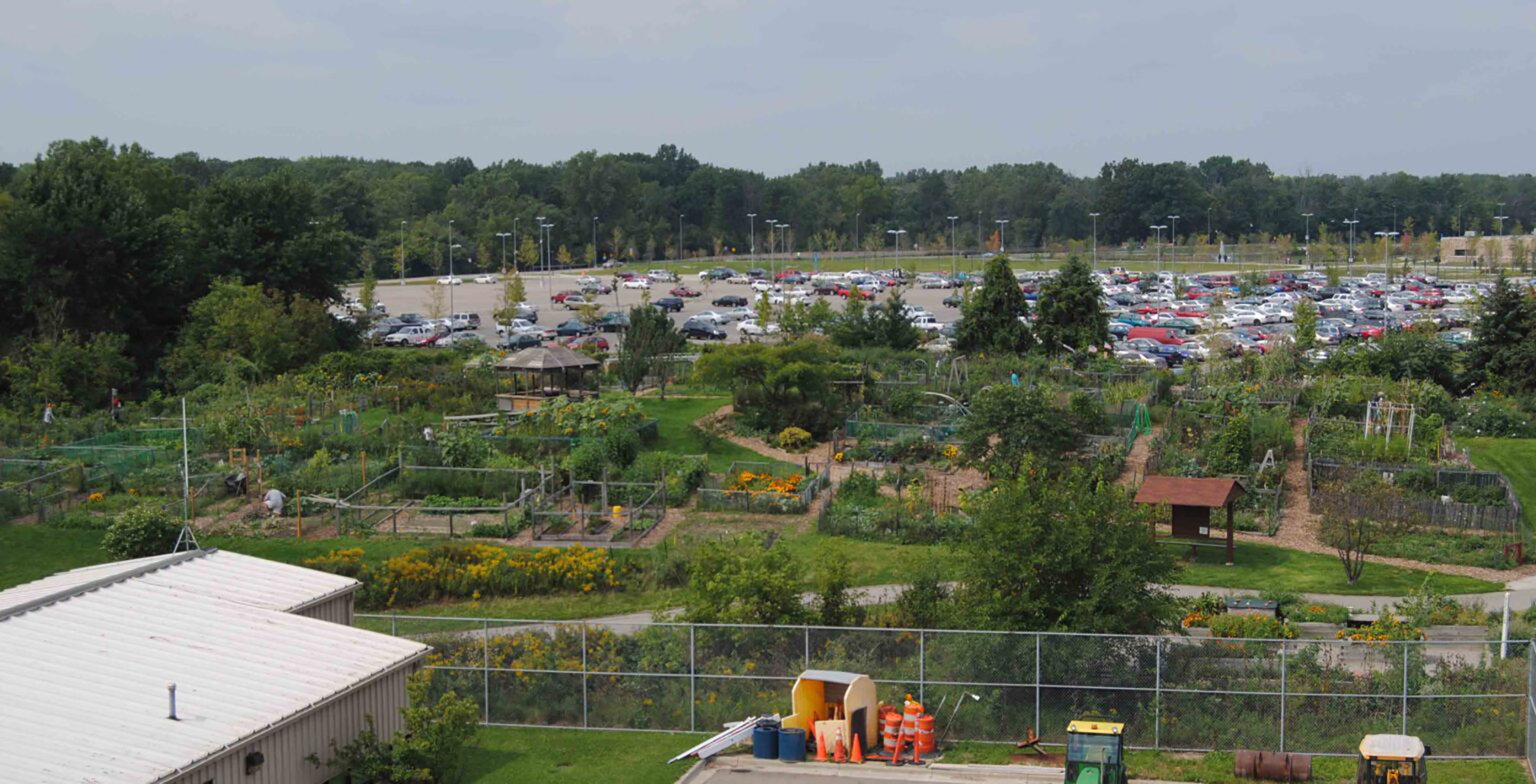 A view looking across the community garden. The garden is made up of many small plots in rows. Some plots have orange or yellow flowers, some bushy green plants, others fruit trees. Brown paths weave between the plots, connecting them with the parking lot beyond.