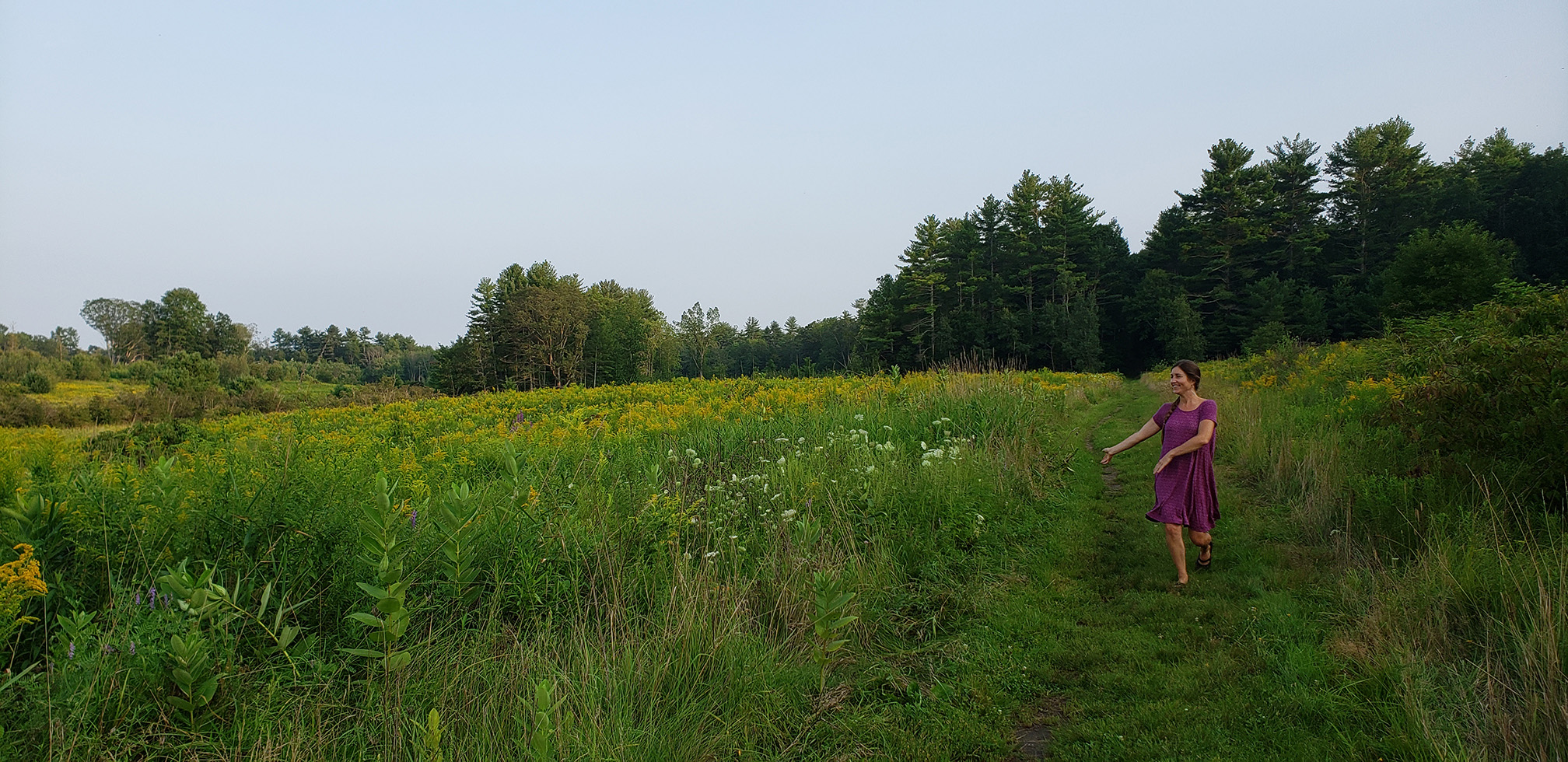 This photograph shows a wildflower meadow that is full of yellow flowers. A young woman with dark hair and wearing a purple dress is running along the edge of the meadow. Behind the meadow is a line of green trees. The sky is a clear blue.