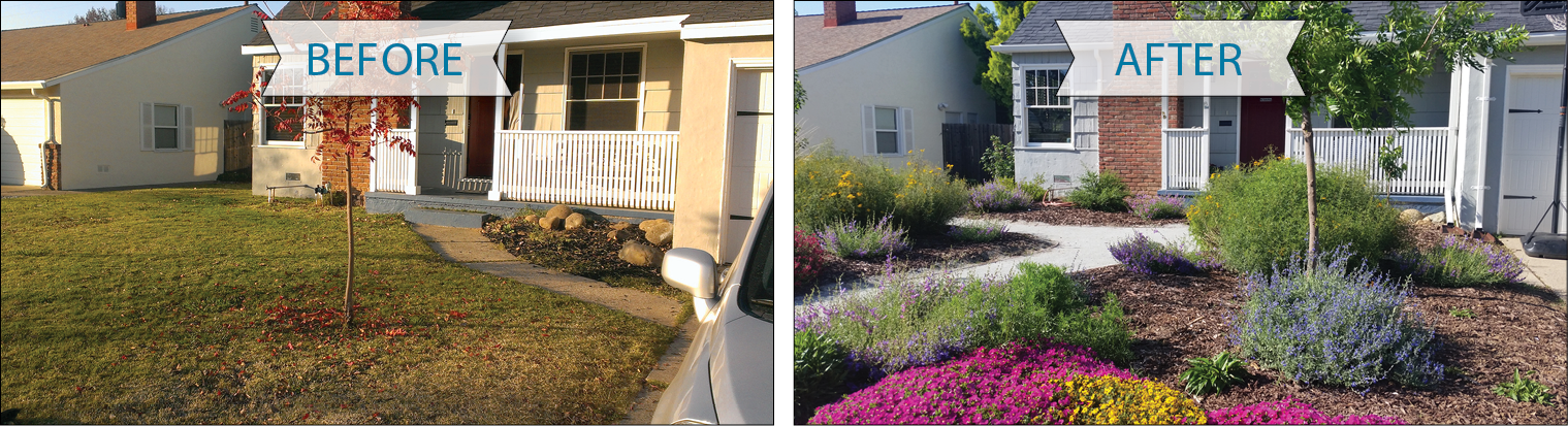 This two-panel image shows the same house twice. In the left image, labeled "Before," a lawn and one small, scraggly tree comprise the front yard. In the right image, labeled "After," the yard is bursting with a variety of flowering plants, there is a winding path through the landscape, the tree looks healthier, and there are open patches of rich, brown dirt.