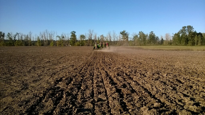 Full steam ahead! With everything working again, the seed drilling was successfully completed. There’s rain in the forecast for the next few days, so the seed should have good conditions for germination.