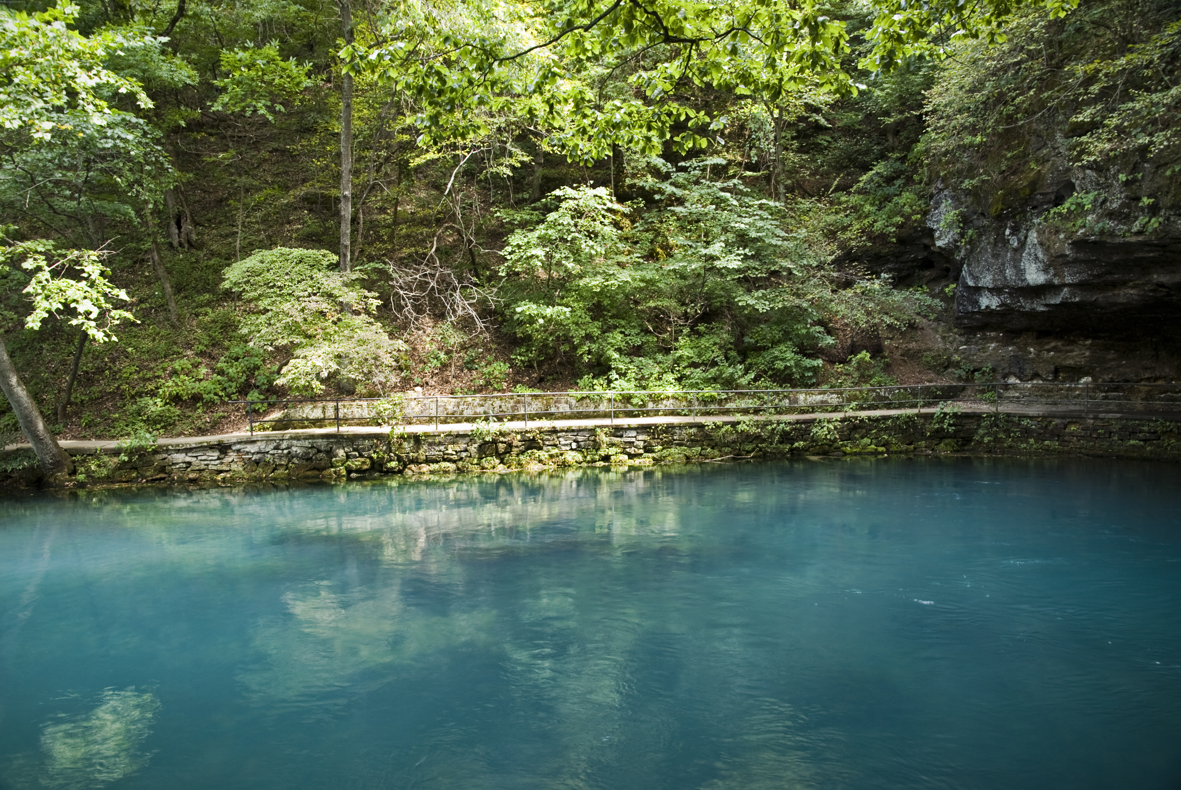 A still pool of turquoise water and overhanging, verdant branches create a placid and inviting riverside scene.