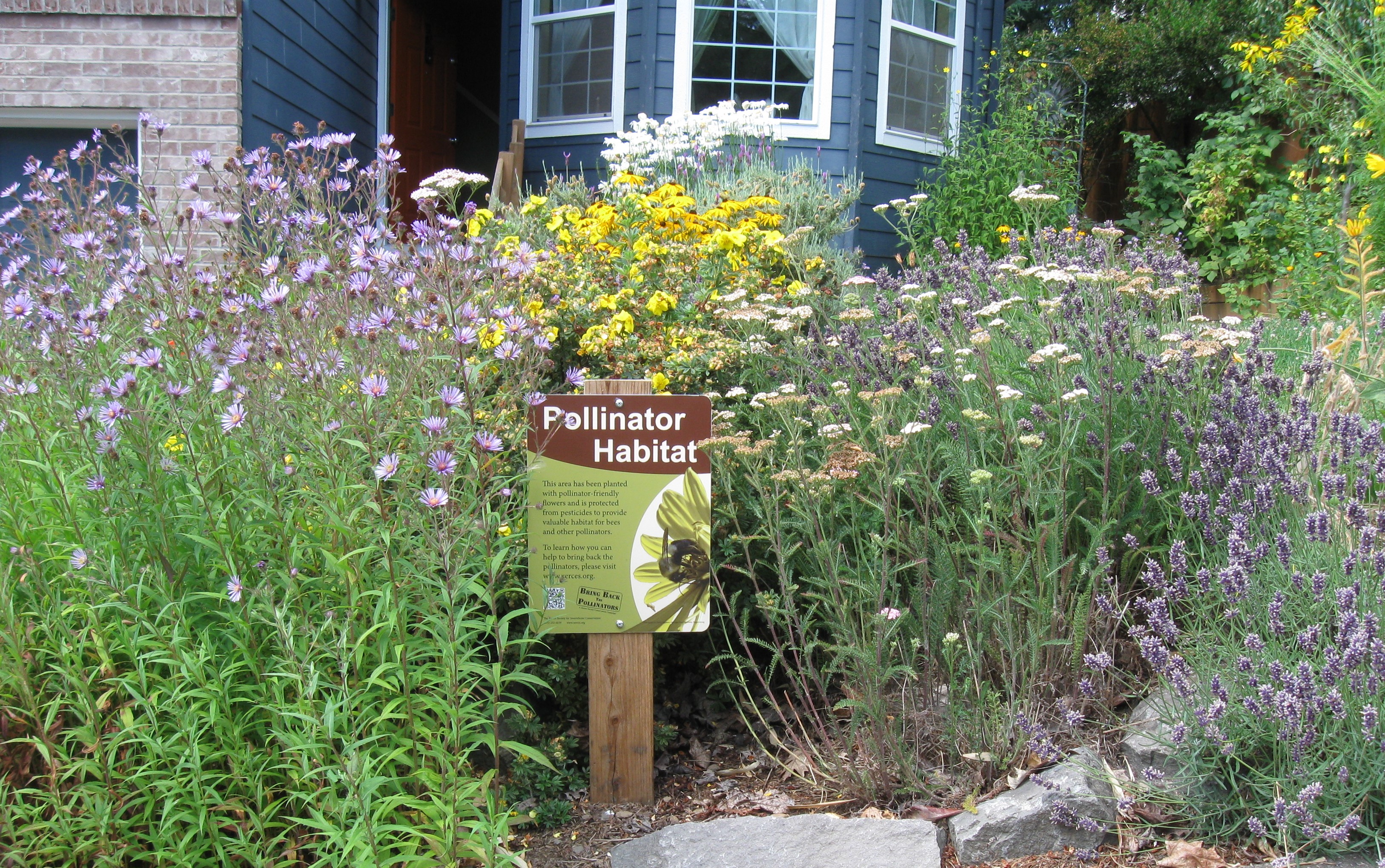 A pollinator habitat sign in a suburban front garden