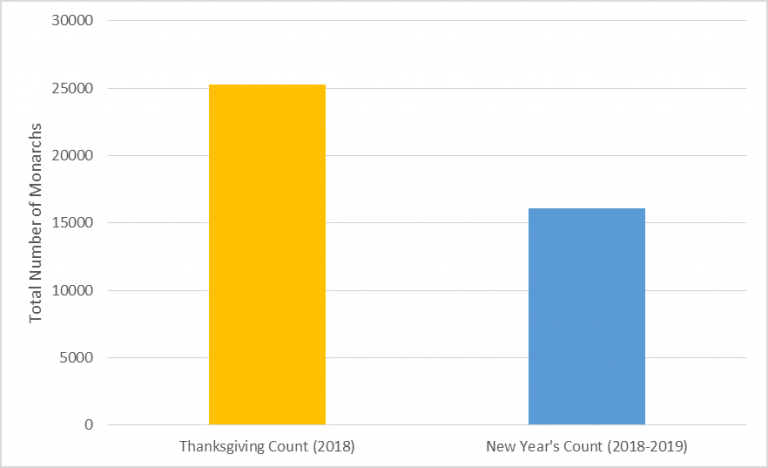 A graph reads "Total Number of Monarchs" and shows the difference between the 2018 Thanksgiving count and 2018-2019 New Year's count. The Thanksgiving count surpasses 25,000 and the New Year's count was more than 15,000.
