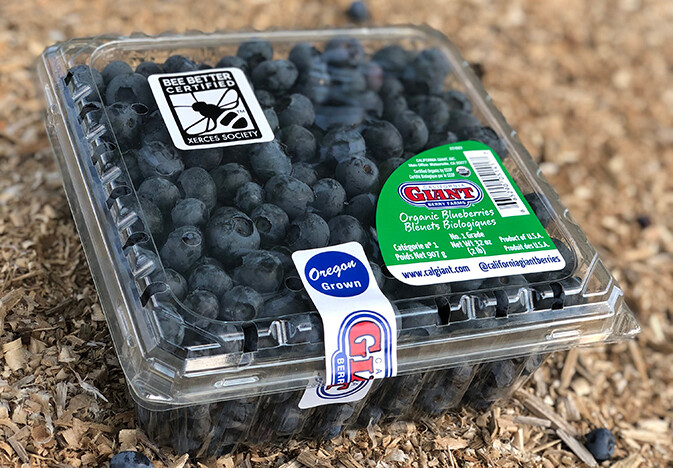 A clear plastic clamshell of blueberries bears the black and white Bee Better Certified seal, as well as a California Giant label, and a stick that says "Oregon grown."