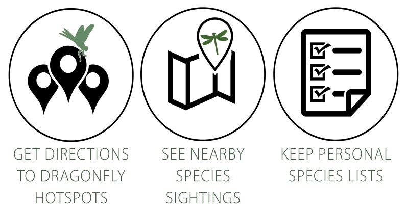 Three icons show three features of the app: get directions to dragonfly hotspots, see nearby species sightings, and keep personal species lists.