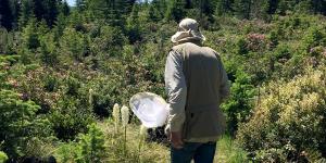 David Kollen walking outdoors with a bumble bee net