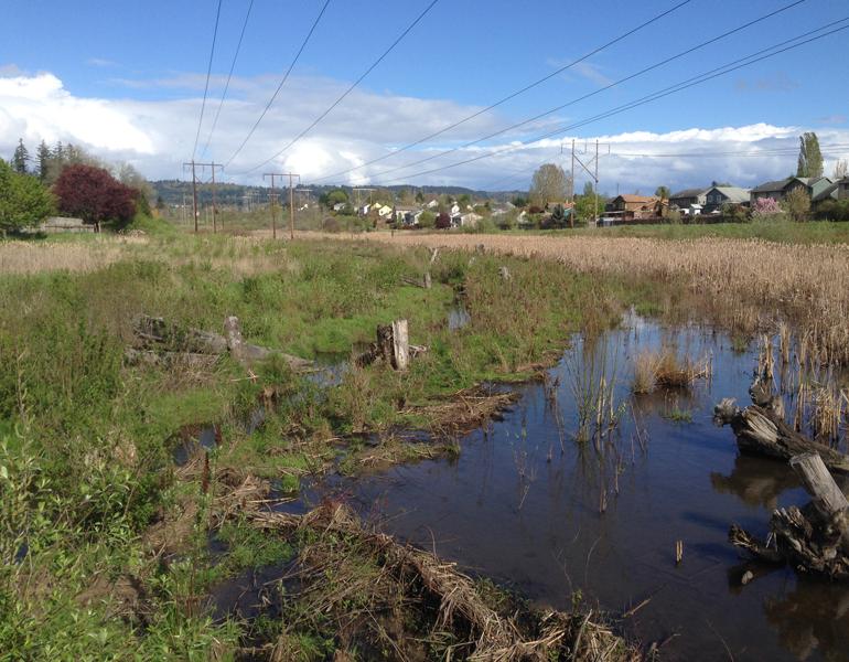 A marsh that is reflecting the deep blue of the sky is ringed by powerlines and neighborhoods.