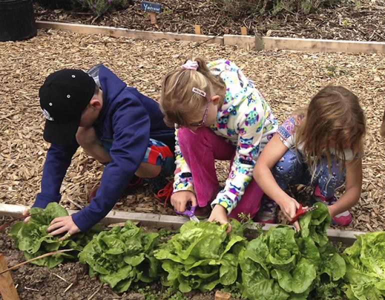 Children tend plantings in a raised bed.