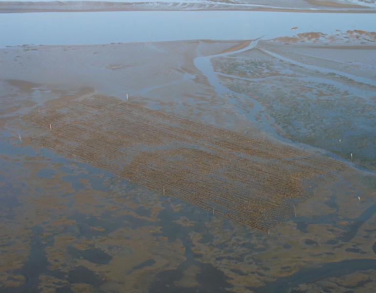 A view from above shows the expanse of tide flats.