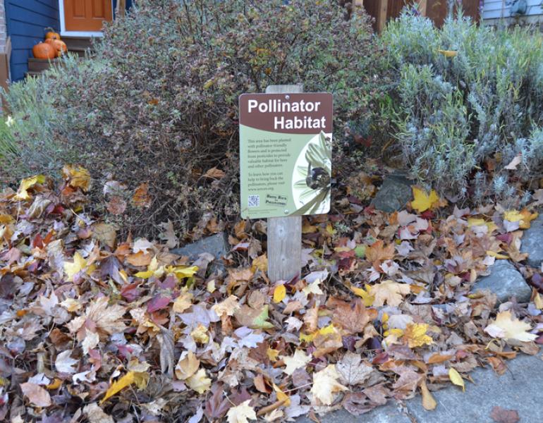 Shrubs and a pile of leaves stand near a pollinator habitat sign. (Photo: Matthew Shepherd / Xerces Society)