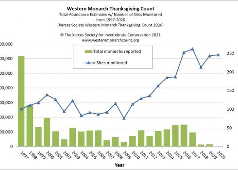 "Western Monarch Thanksgiving Count Data 1997-2020 shows that despite a strong volunteer effort, monarch numbers are at the lowest point recorded since the count started in 1997"