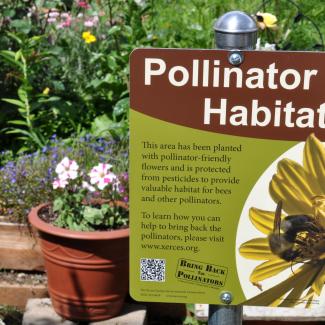 A Xerces Society Pollinator Habitat sign stands proudly among a blossoming garden.