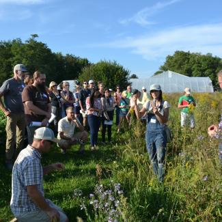 A group of farmers stand between a crop field and flowering meadow listening to a presenter speaking about how to plan habitat for insects.
