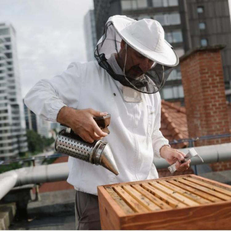Beekeeper on rooftop (Ciril Jazbec, NYT)