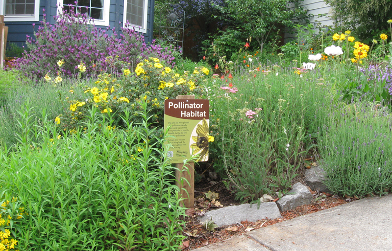 are-you-up-for-the-million-pollinator-garden-challenge-xerces-society