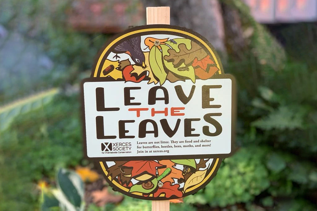 Xerces Leave the Leaves sign in front of a yard