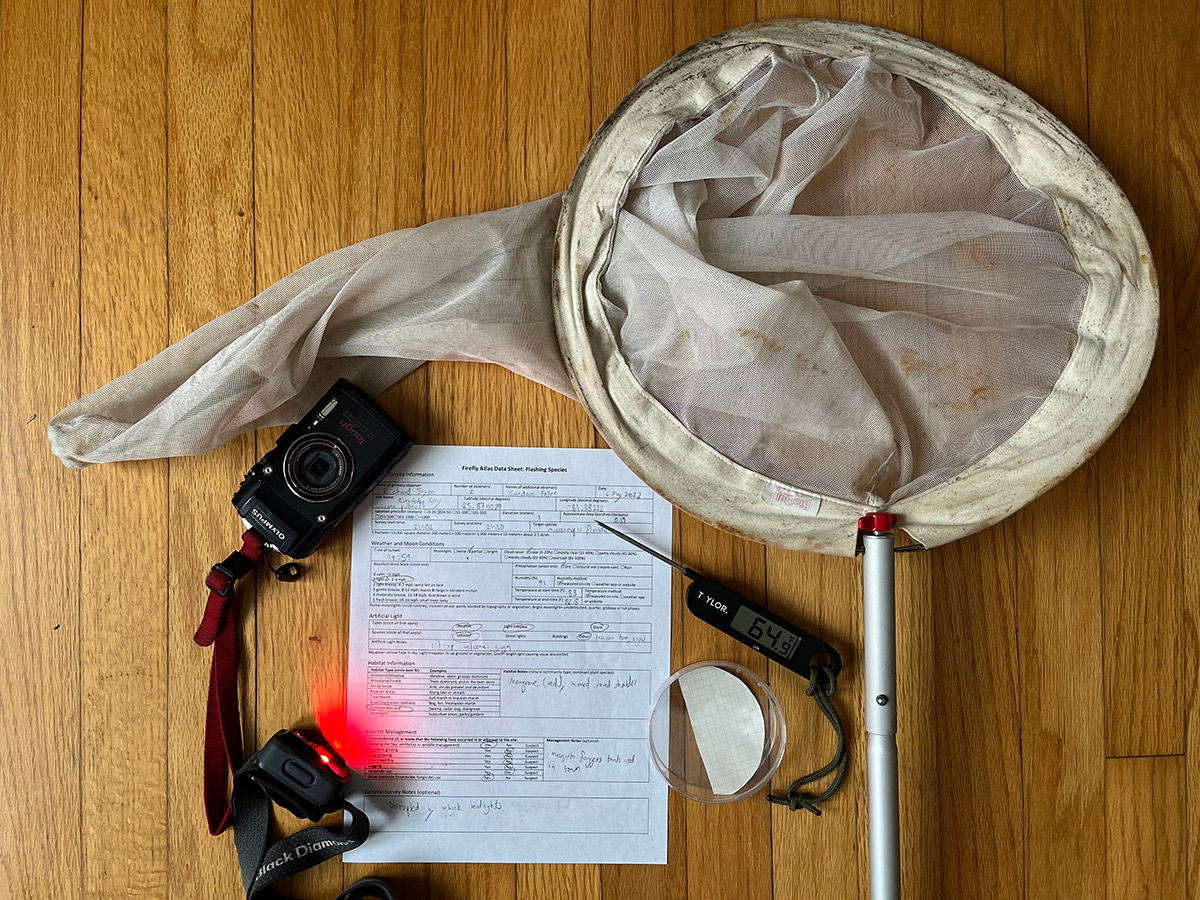 Bug net, camera, petri dish, thermometer, a red head lamp, and survey data sheets
