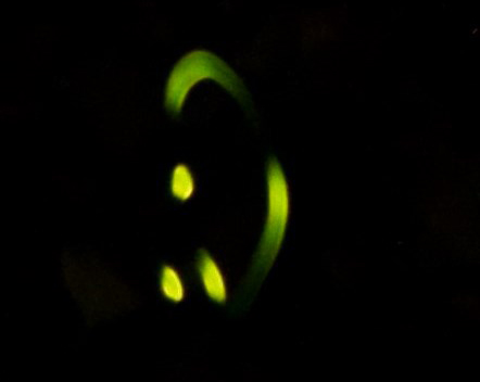 Loopy five firefly flash pattern, with 2 semi-circular flashes and 3 short blips forming a circle 