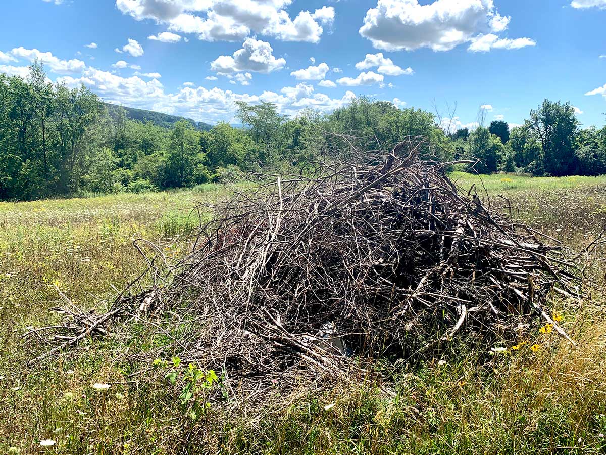 Large pile of sticks in a field 