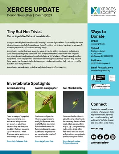 Cover of Xerces Update newsletter