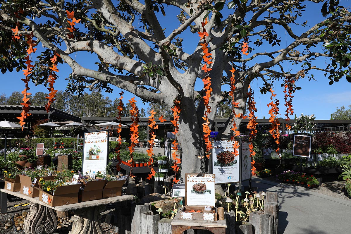 Tree with hanging wooden monarchs surrounded by signs and plants