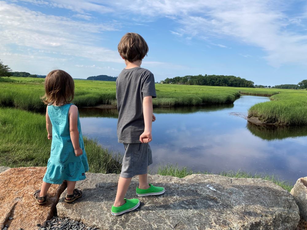 Children overlook a marsh in Ipswich, Massachusetts