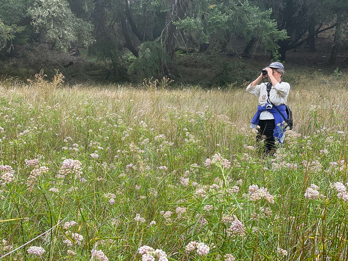 Mia standing in a field of milkweed