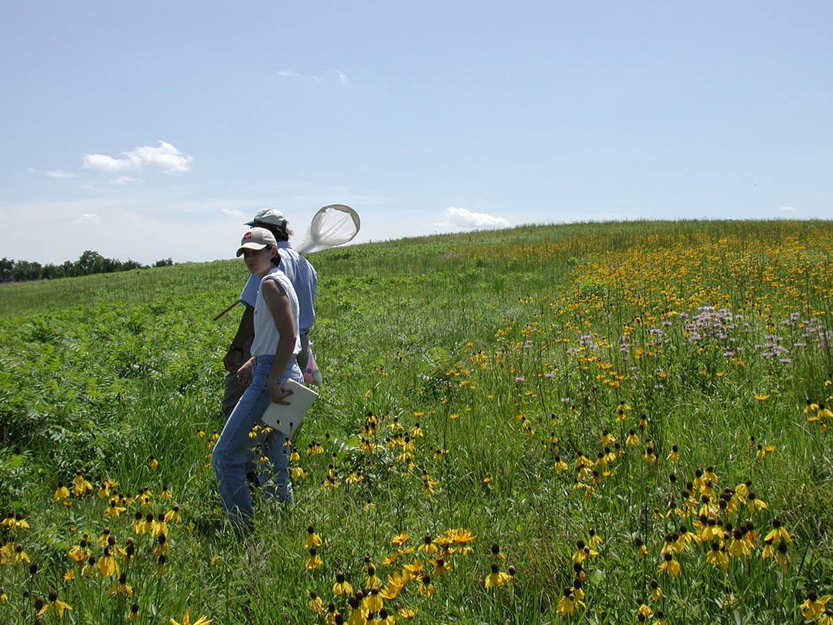 An undergraduate student and Ted Burk walking through a prairie filled with wildflowers. The student is carrying a clipboard for recording butterfly observations, while Burk carries a net.