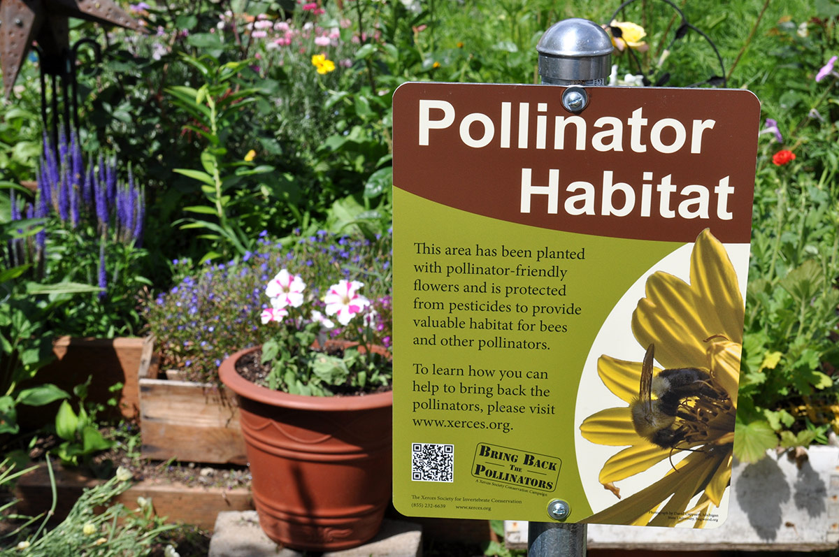 A Pollinator Habitat sign in front of a garden with native plants. 