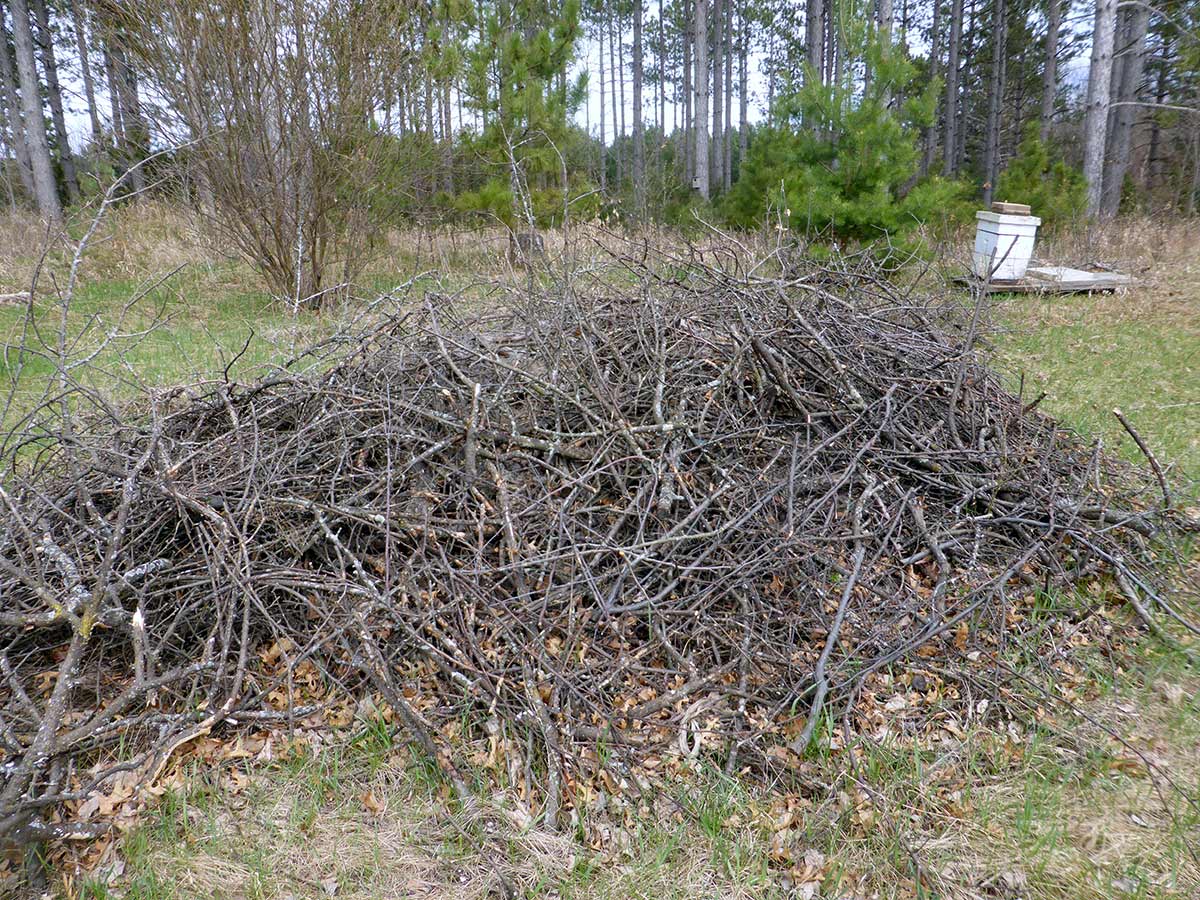 A large messy pile of tree branches of varying sizes. Gaps between the branches allow animals to enter the structure.