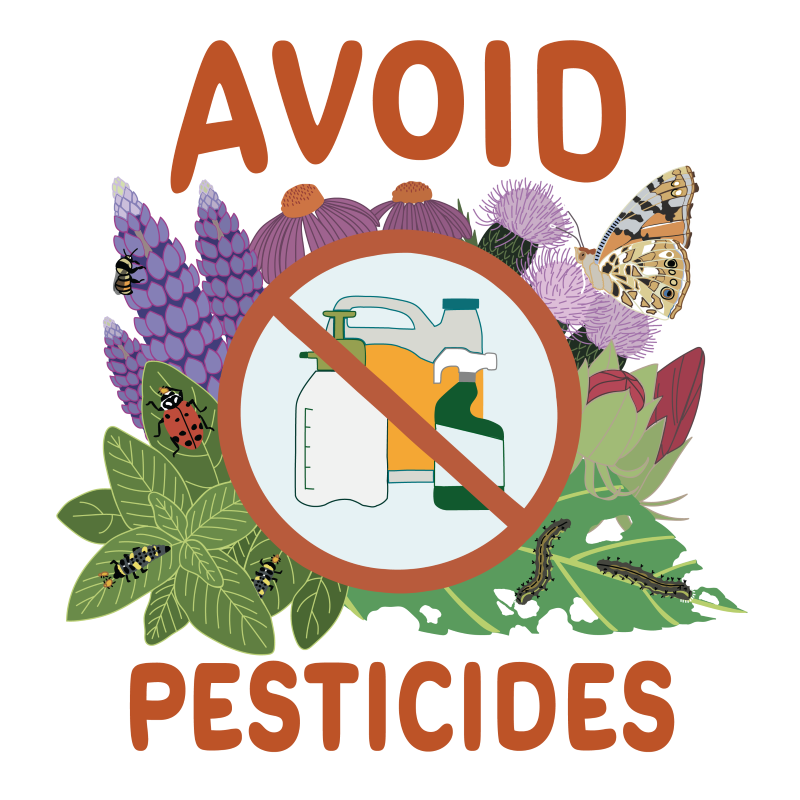 Bring Back the Pollinators | Xerces Society