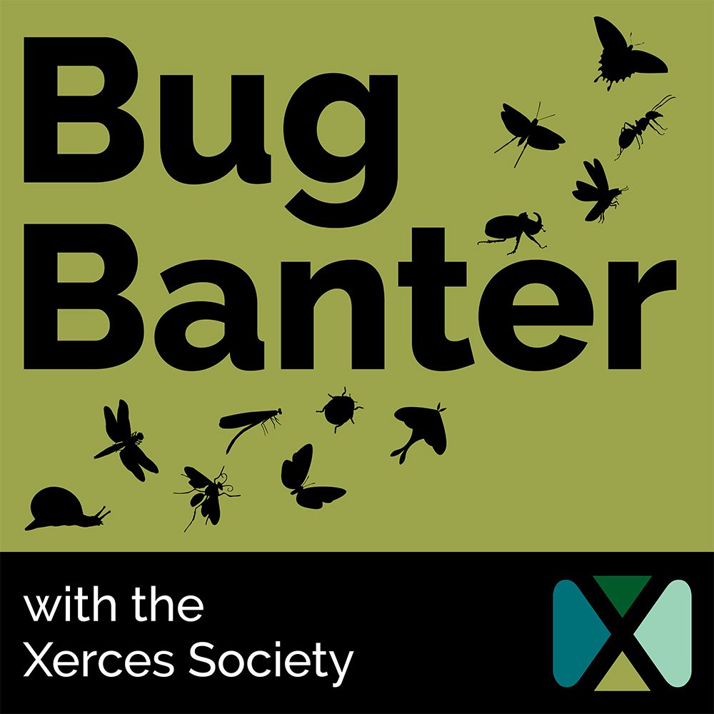 Podcast cover art reading “Bug Banter with the Xerces Society,” with silhouettes of insects on a green background.
