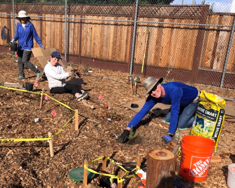 3 people place small native plants into mulched ground.