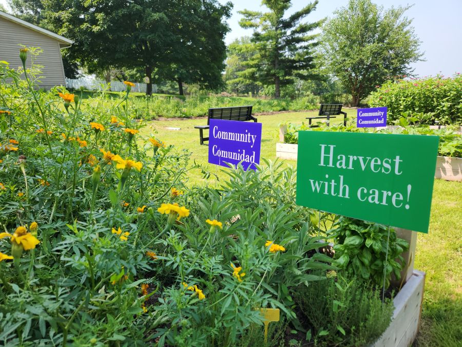 A garden with flowers and vegetables, with signs saying "Harvest with Care" and "Community/ Communidad"