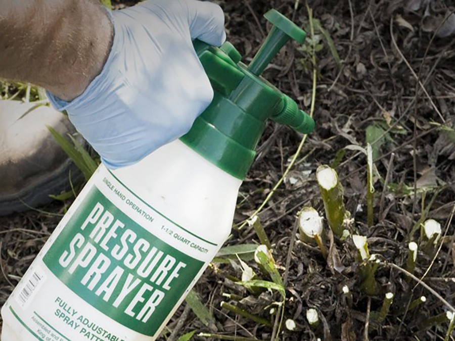 State Policies for Protecting Insects from Pesticides