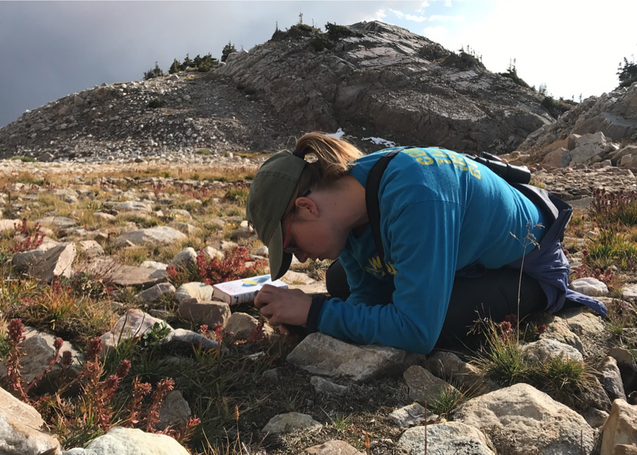 "Community scientist uses the iNaturalist app on her phone to help identify flowers while on a hike. The photographs will be recorded on iNaturalist and contribute to the understanding of local flora."