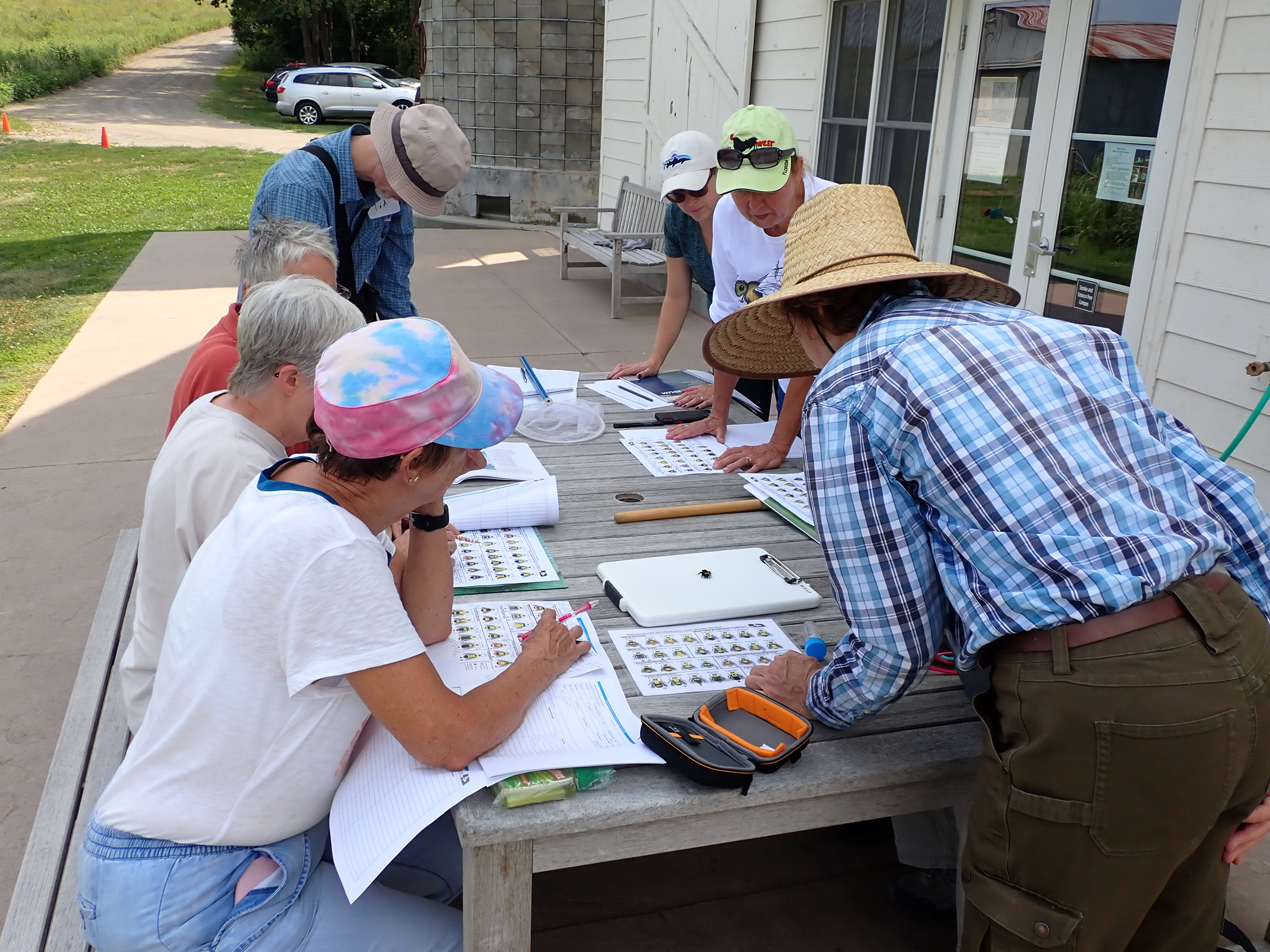 "Community scientists attending a training for the Nebraska Bumble Bee Atlas learn how to identify bumble bees before conducting surveys on their own. "