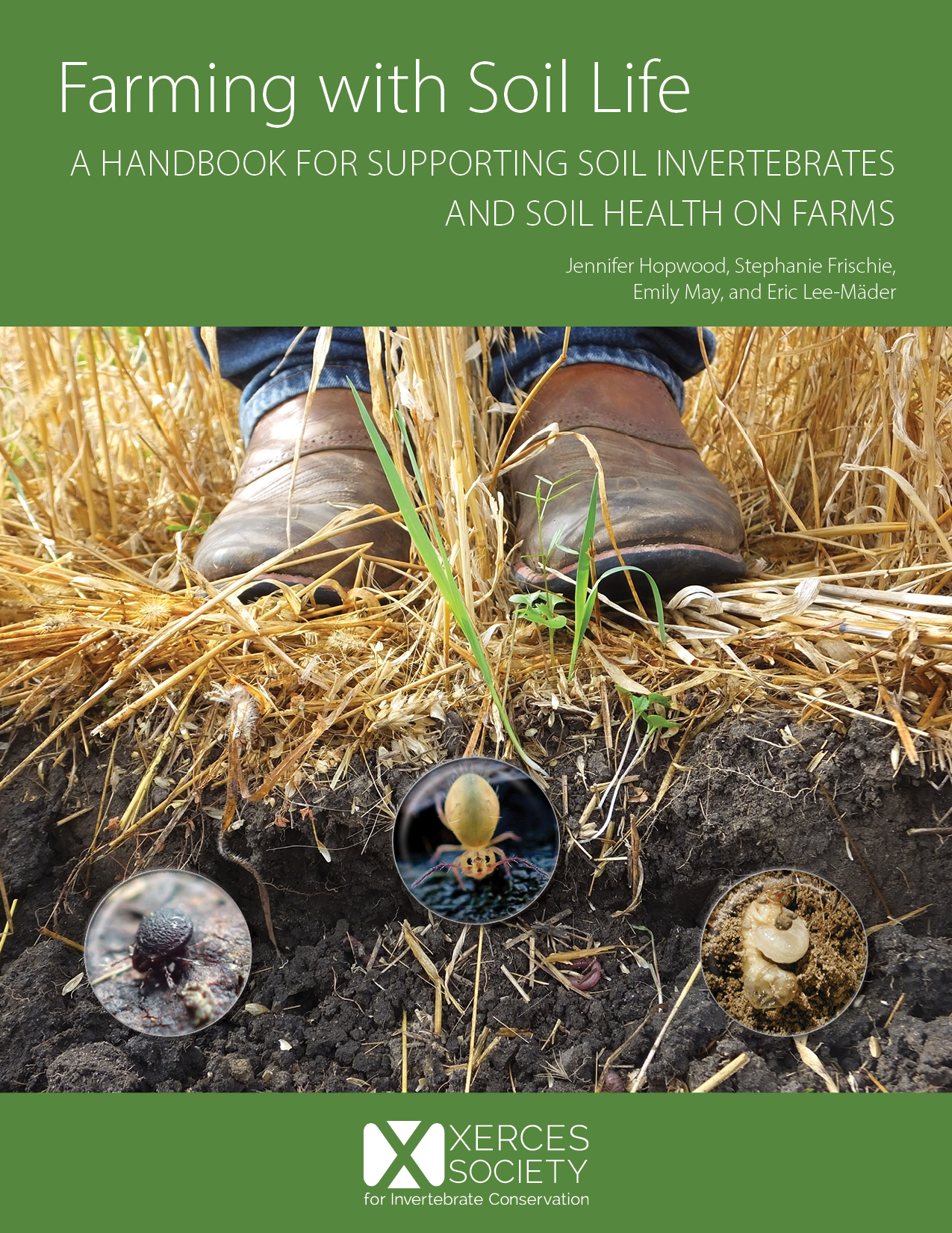 The front cover of a report with white text on a green background and a large photo showing the boots of someone standing above a hole dug to show the soil