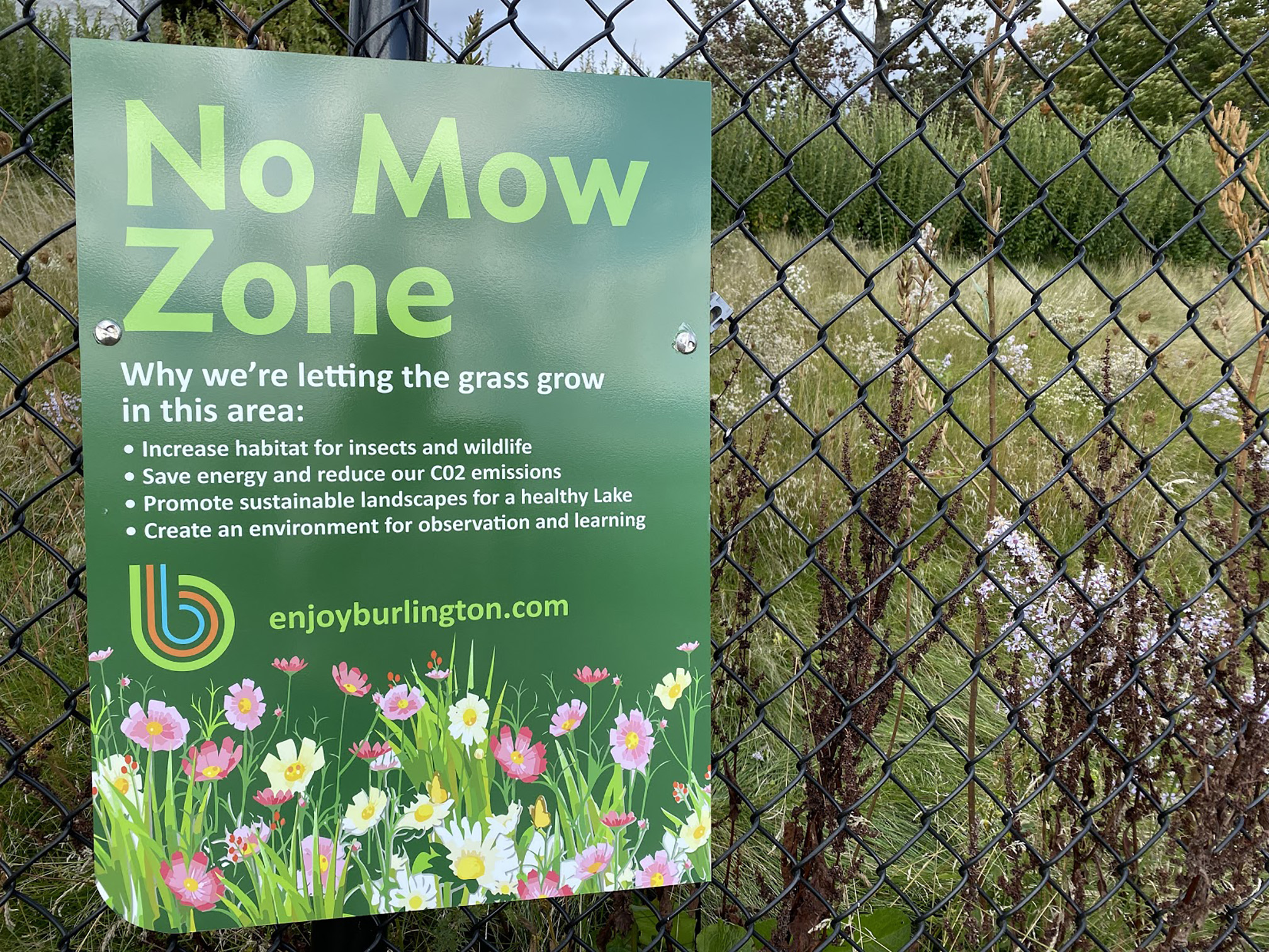 A green sign hangs on a fence. The sign says "No Mow Zone" and includes illustrations of pink and white flowers