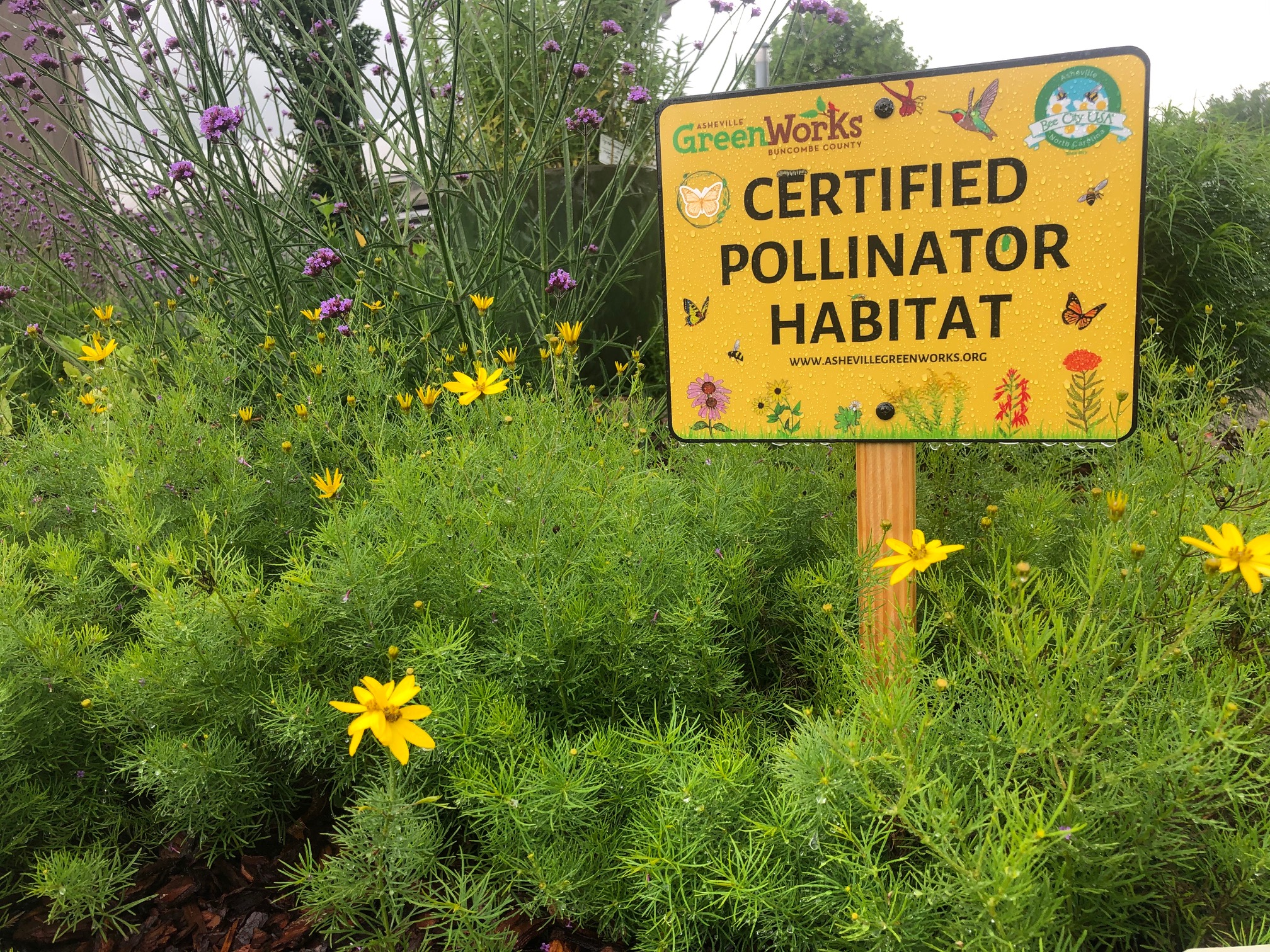 In the middle of a flower-filled garden is a yellow sign that says "certified pollinator habitat"