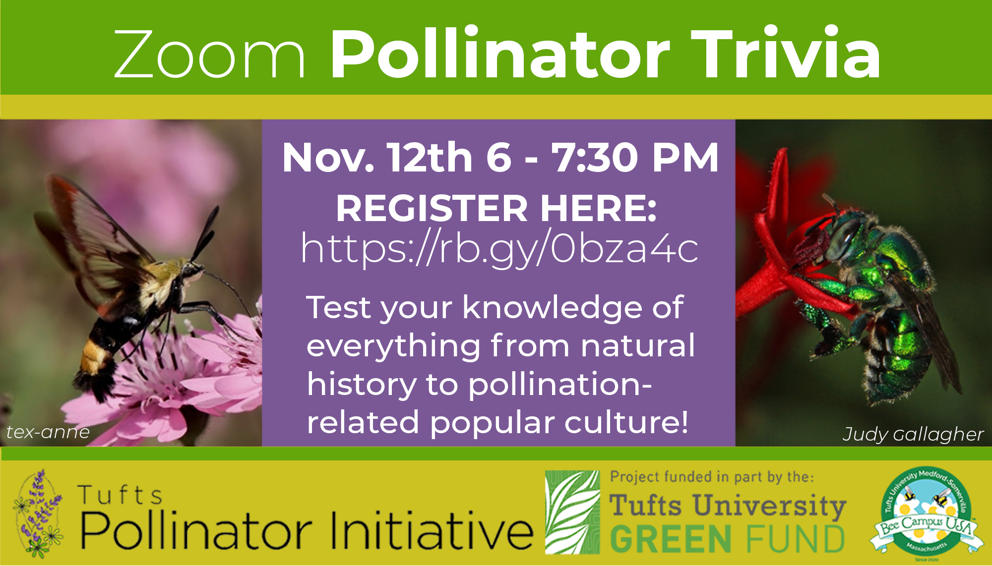 A promotional image for a pollinator trivia night. It has text describing the event, plus a photo of a yellow-and-black moth and a bright metallic green bee.