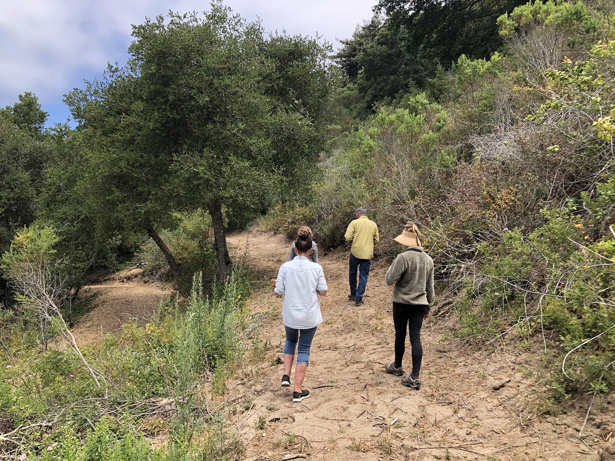 A small group of people walks along a wide strip of bare earth at the bottom of a steep hill. They are wearing blue jeans; one has a yellow shirt, one a pale blue shirt, and another a gray-brown jacket. Either side of the earth strip are plants. The hillside is covered in bushes and trees.